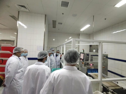 金豐餐飲 全自動(dòng)化裝備賦能盒飯配餐工廠，打造高效保障服務(wù)體系