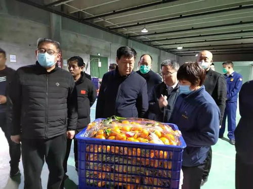張勝明副市長赴濟(jì)寧蔬菜批發(fā)市場調(diào)研 筑牢食品安全防線，守護(hù)百姓“菜籃子”安全