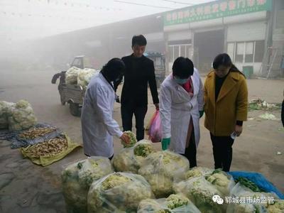 嚴(yán)把食用農(nóng)產(chǎn)品入市關(guān)，確保群眾“菜籃子”安全